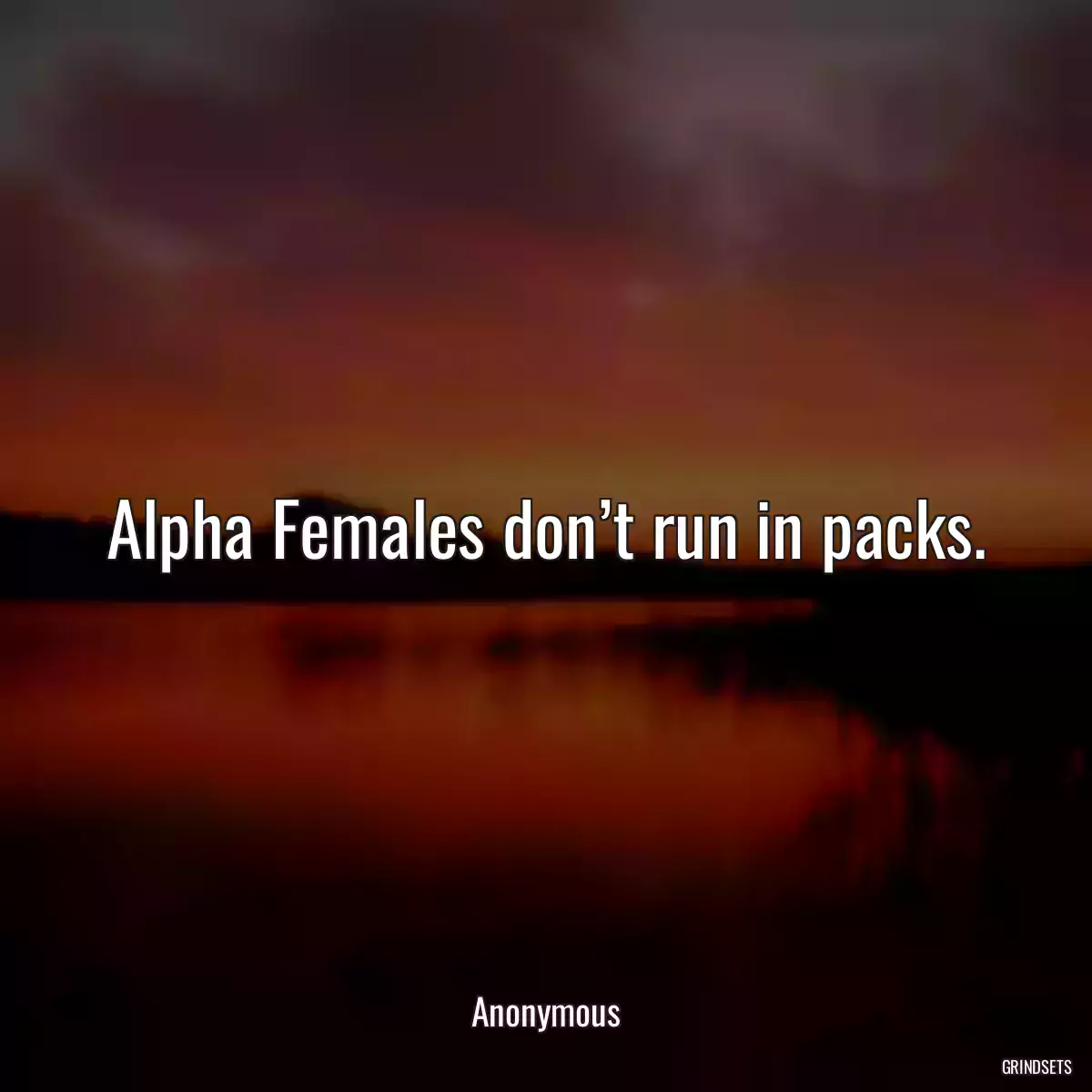 Alpha Females don’t run in packs.