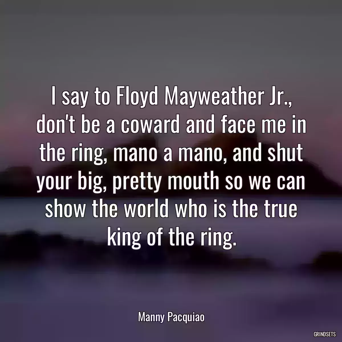 I say to Floyd Mayweather Jr., don\'t be a coward and face me in the ring, mano a mano, and shut your big, pretty mouth so we can show the world who is the true king of the ring.