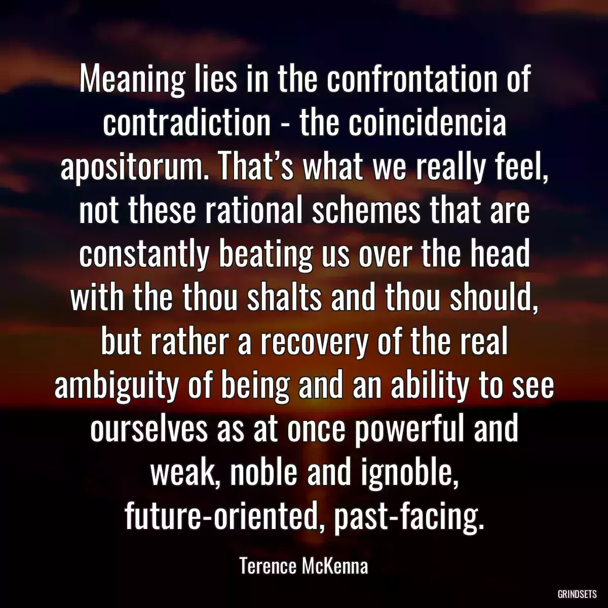 Meaning lies in the confrontation of contradiction - the coincidencia apositorum. That’s what we really feel, not these rational schemes that are constantly beating us over the head with the thou shalts and thou should, but rather a recovery of the real ambiguity of being and an ability to see ourselves as at once powerful and weak, noble and ignoble, future-oriented, past-facing.