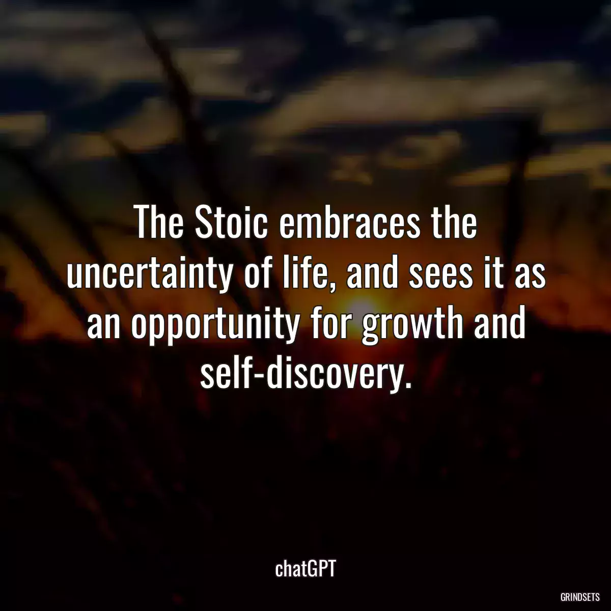 The Stoic embraces the uncertainty of life, and sees it as an opportunity for growth and self-discovery.