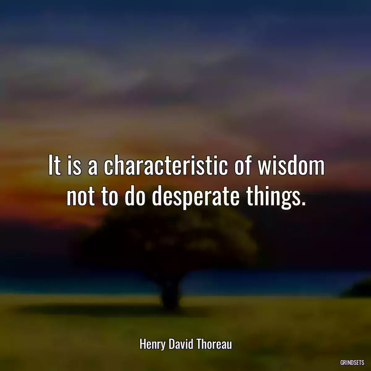 It is a characteristic of wisdom not to do desperate things.