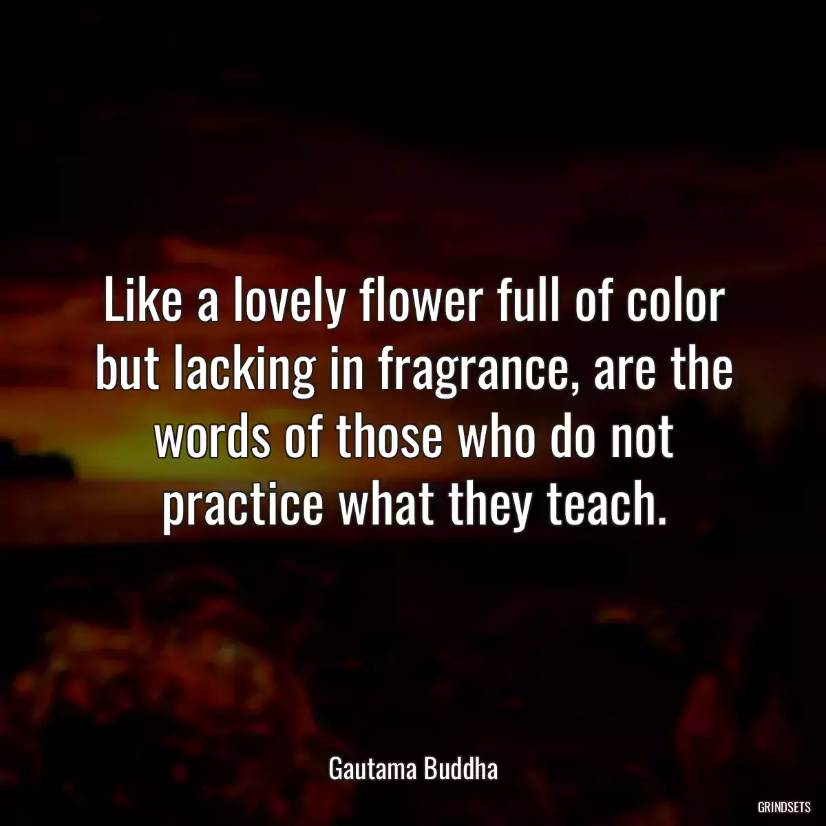 Like a lovely flower full of color but lacking in fragrance, are the words of those who do not practice what they teach.