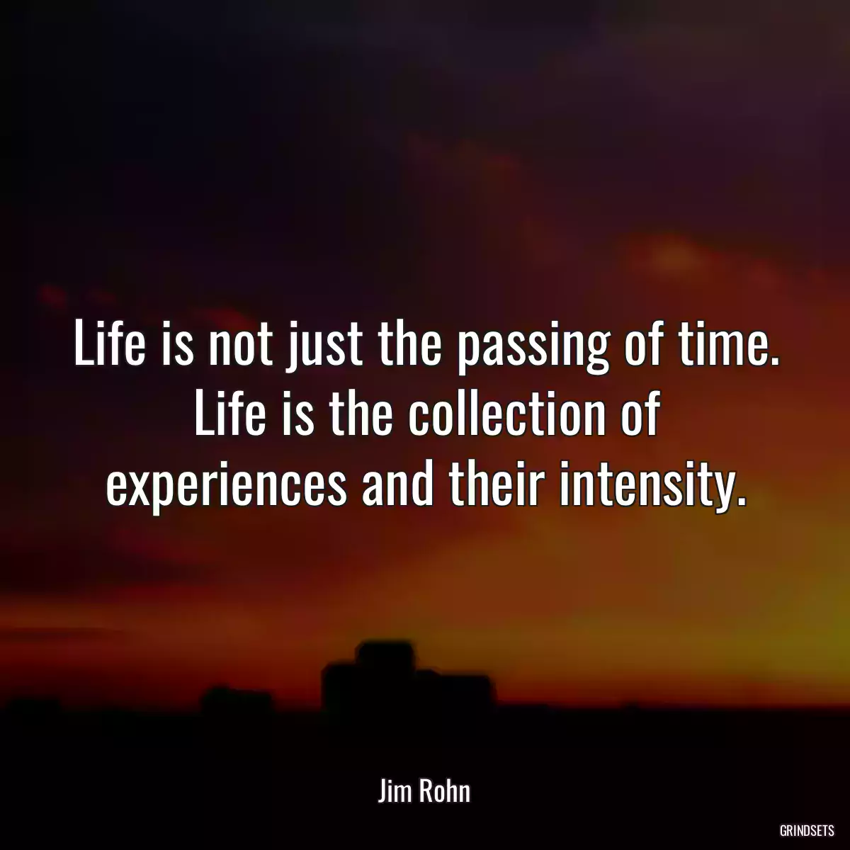 Life is not just the passing of time. Life is the collection of experiences and their intensity.