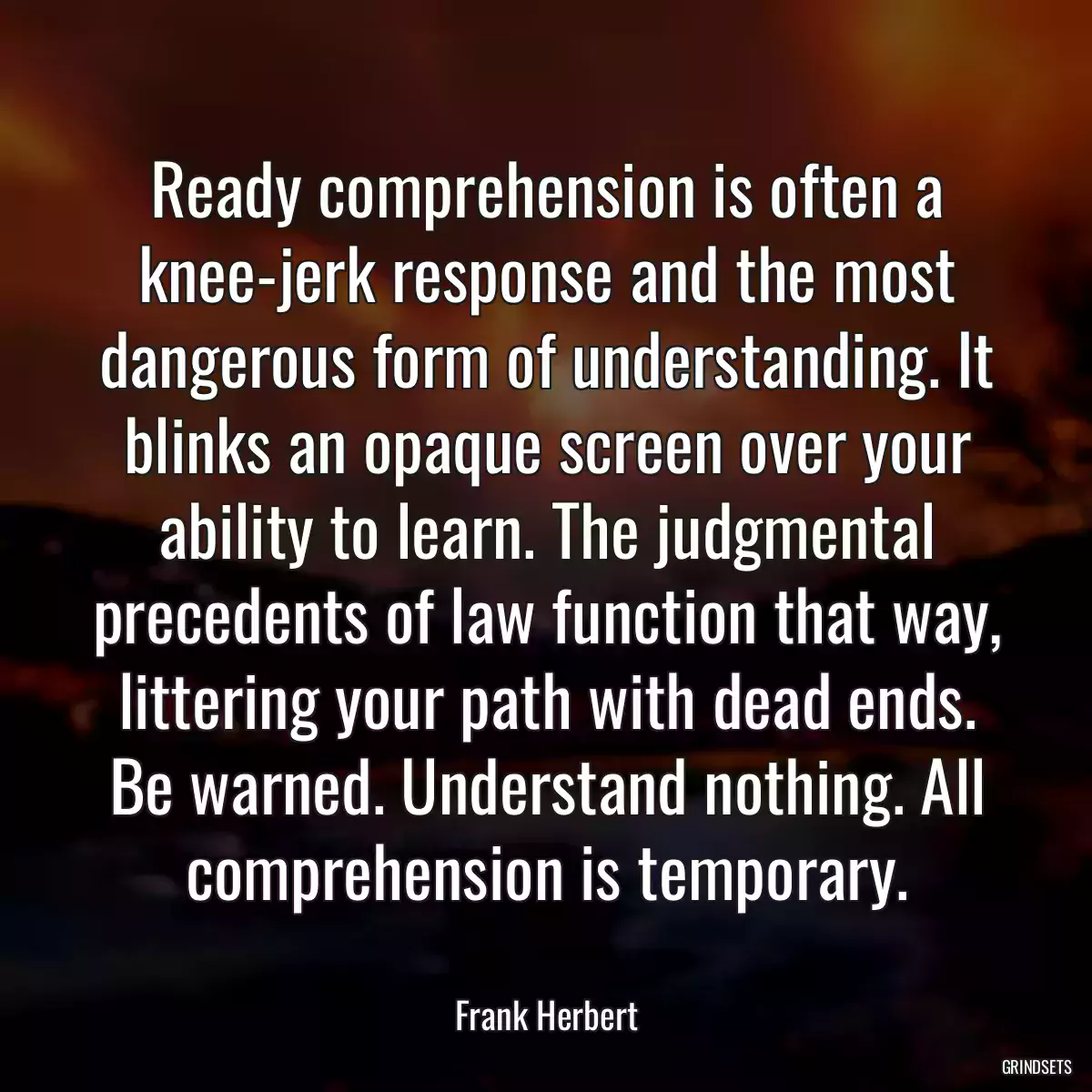 Ready comprehension is often a knee-jerk response and the most dangerous form of understanding. It blinks an opaque screen over your ability to learn. The judgmental precedents of law function that way, littering your path with dead ends. Be warned. Understand nothing. All comprehension is temporary.