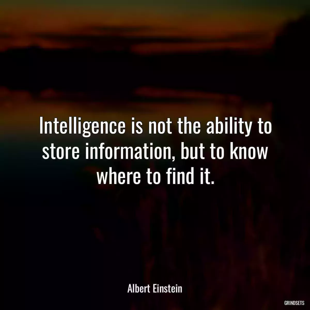 Intelligence is not the ability to store information, but to know where to find it.