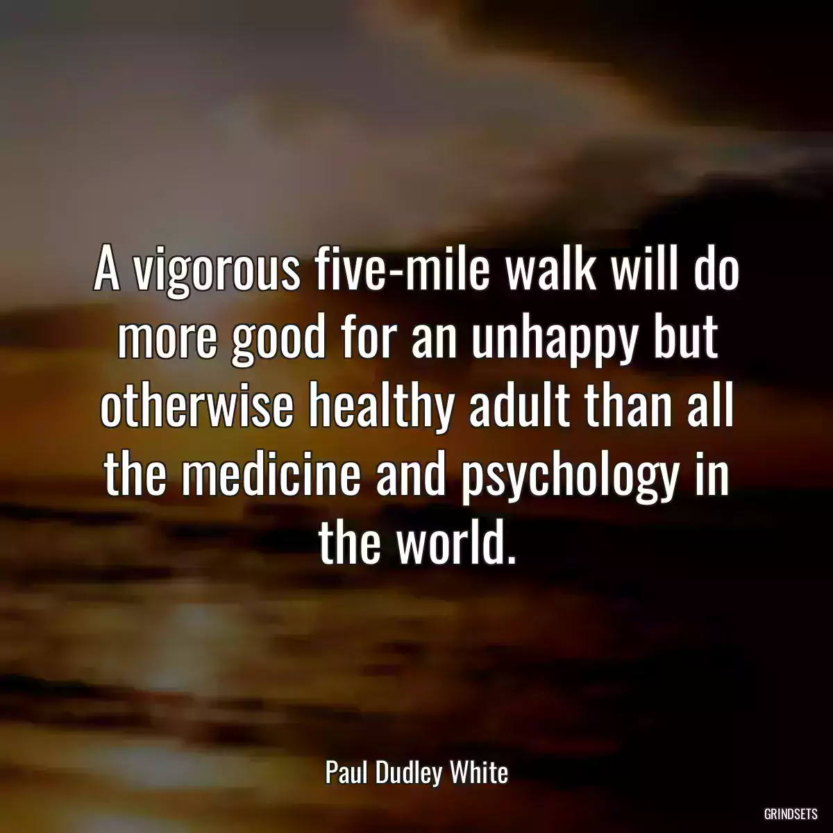 A vigorous five-mile walk will do more good for an unhappy but otherwise healthy adult than all the medicine and psychology in the world.