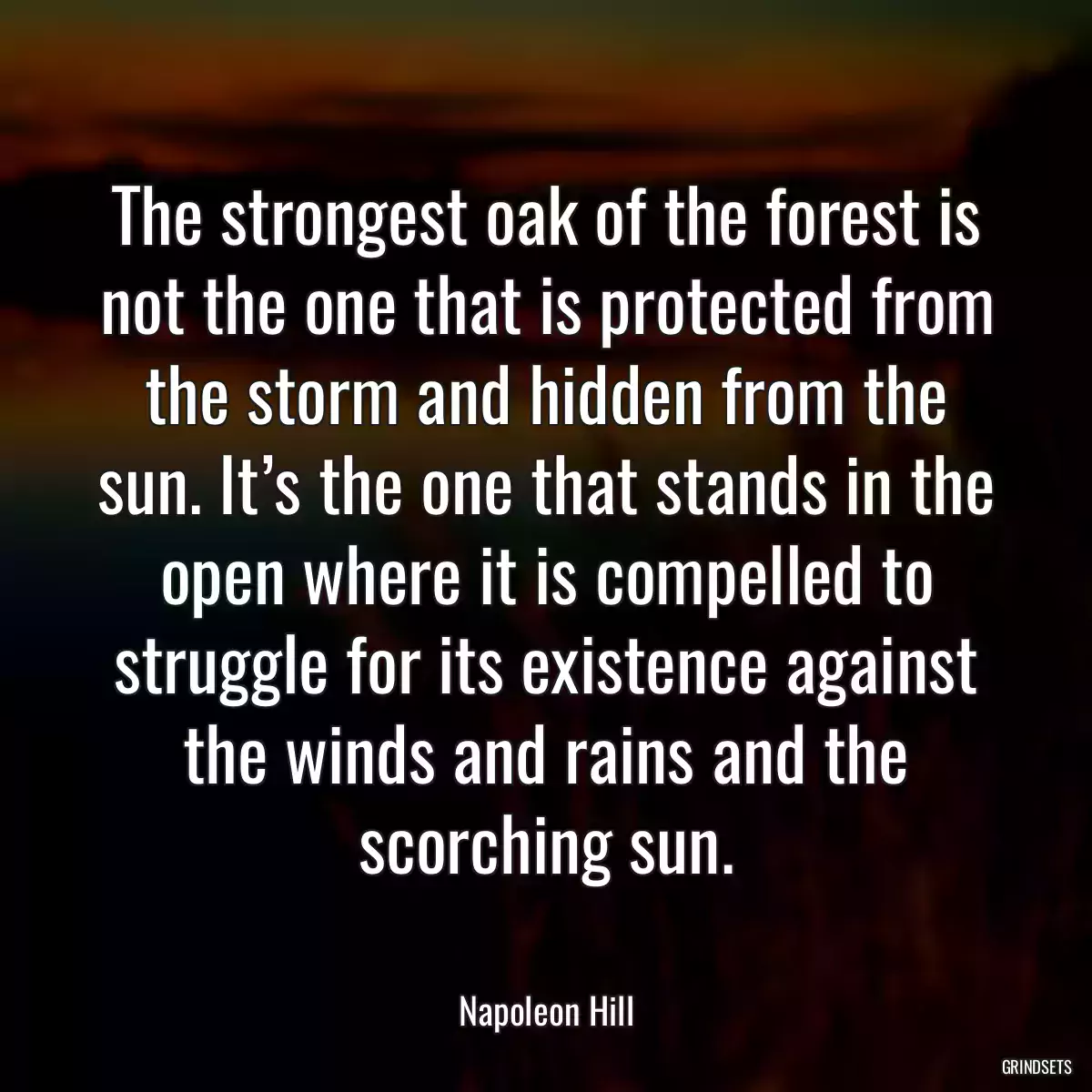 The strongest oak of the forest is not the one that is protected from the storm and hidden from the sun. It’s the one that stands in the open where it is compelled to struggle for its existence against the winds and rains and the scorching sun.