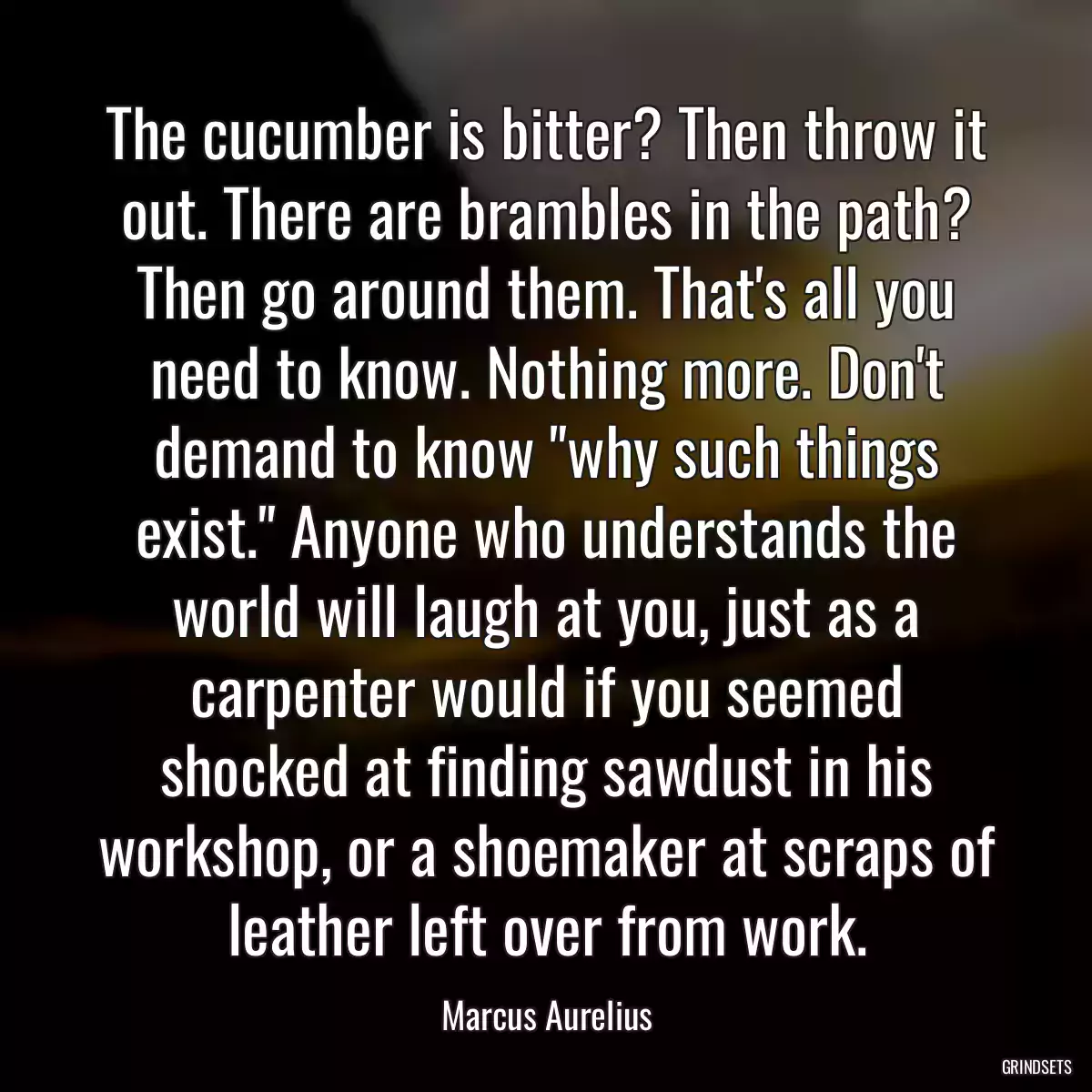 The cucumber is bitter? Then throw it out. There are brambles in the path? Then go around them. That\'s all you need to know. Nothing more. Don\'t demand to know \