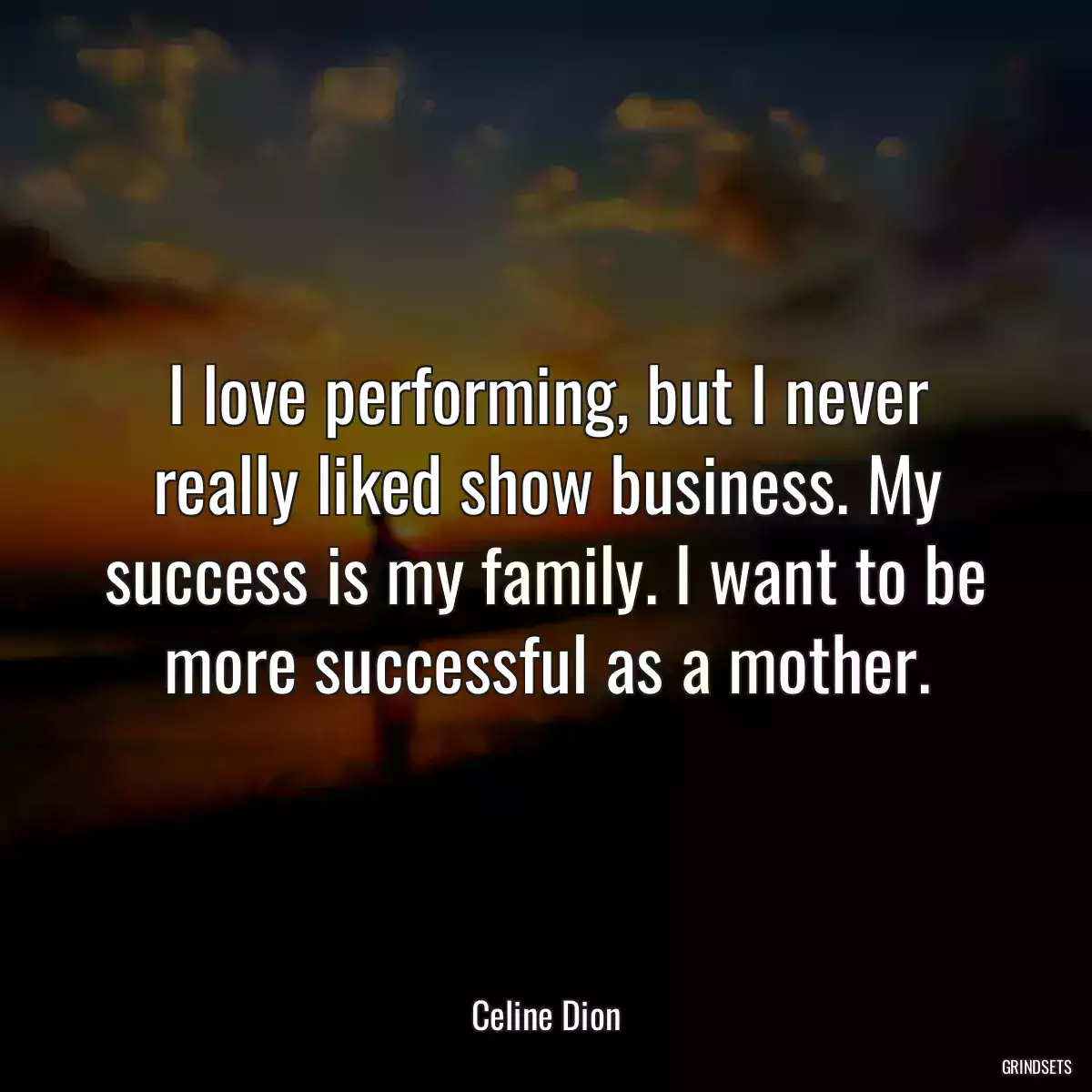 I love performing, but I never really liked show business. My success is my family. I want to be more successful as a mother.