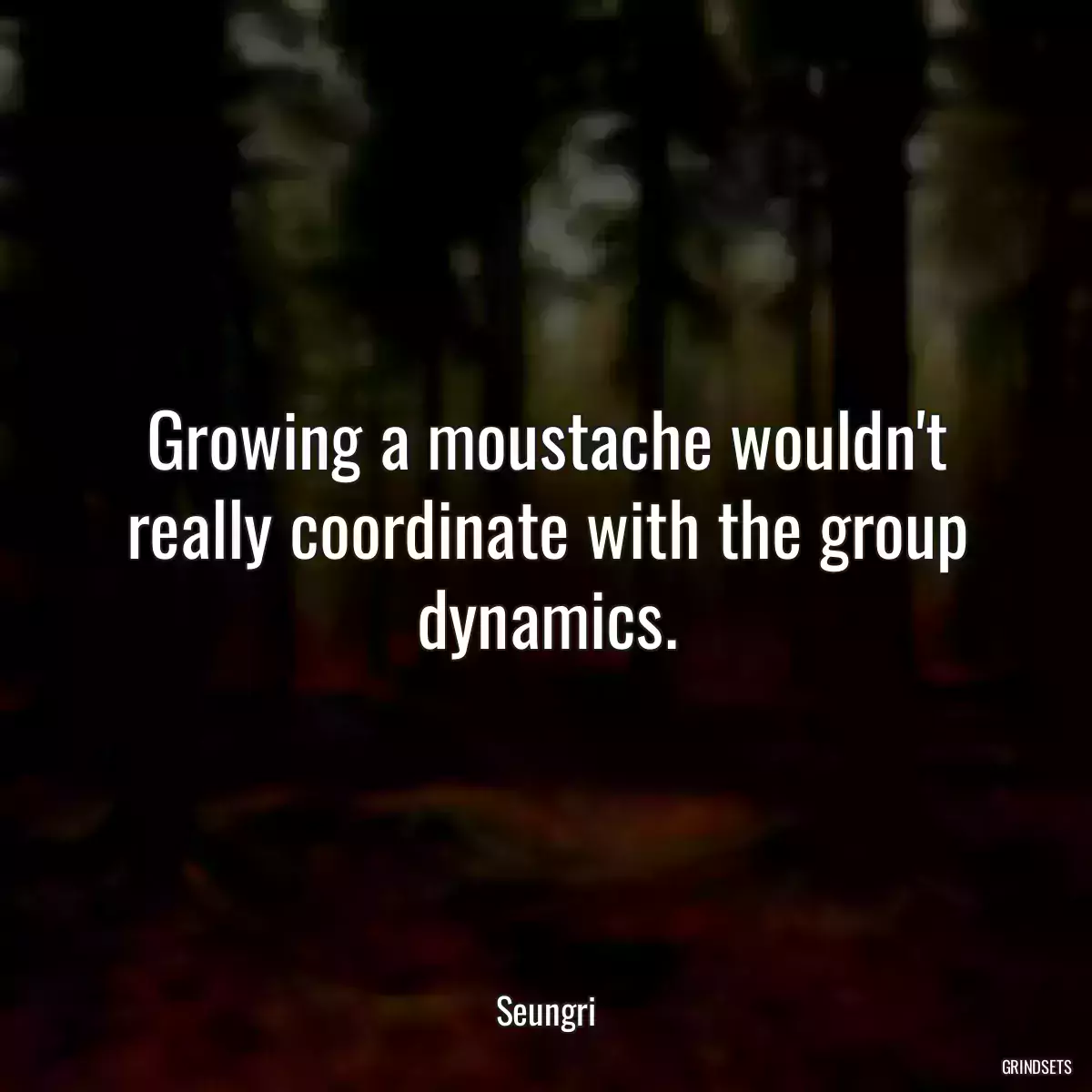 Growing a moustache wouldn\'t really coordinate with the group dynamics.