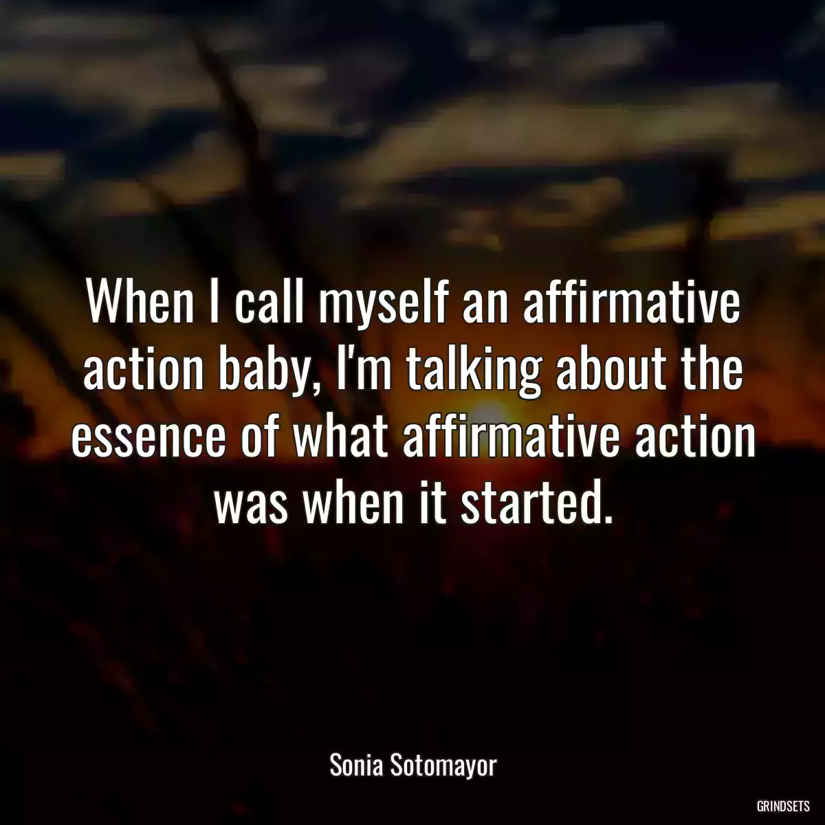 When I call myself an affirmative action baby, I\'m talking about the essence of what affirmative action was when it started.