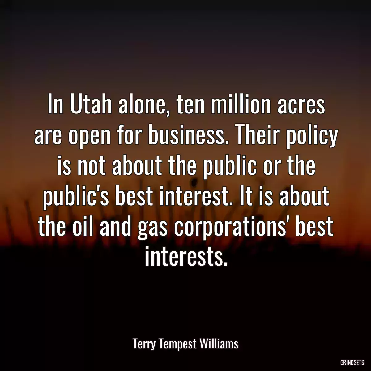 In Utah alone, ten million acres are open for business. Their policy is not about the public or the public\'s best interest. It is about the oil and gas corporations\' best interests.