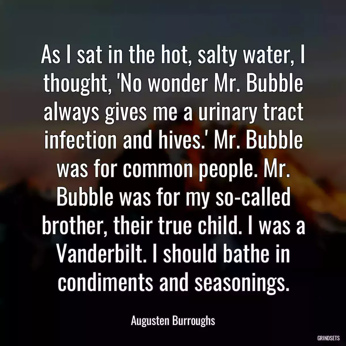 As I sat in the hot, salty water, I thought, \'No wonder Mr. Bubble always gives me a urinary tract infection and hives.\' Mr. Bubble was for common people. Mr. Bubble was for my so-called brother, their true child. I was a Vanderbilt. I should bathe in condiments and seasonings.