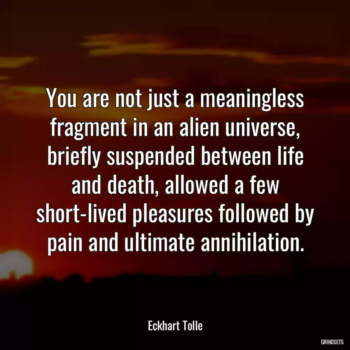 You are not just a meaningless fragment in an alien universe, briefly suspended between life and death, allowed a few short-lived pleasures followed by pain and ultimate annihilation.