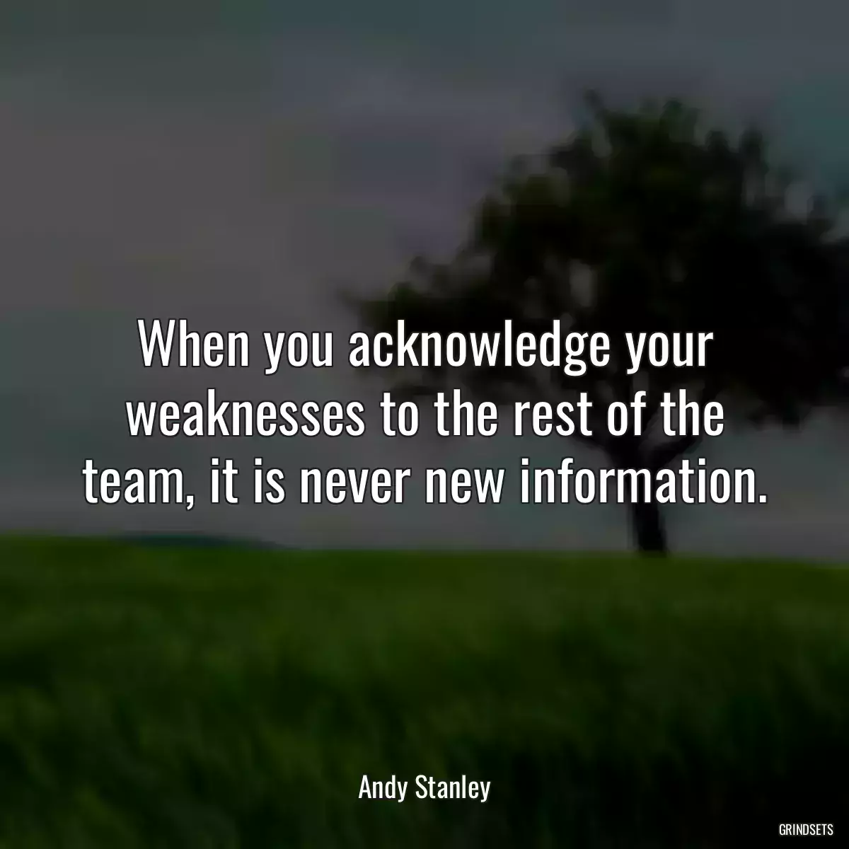 When you acknowledge your weaknesses to the rest of the team, it is never new information.