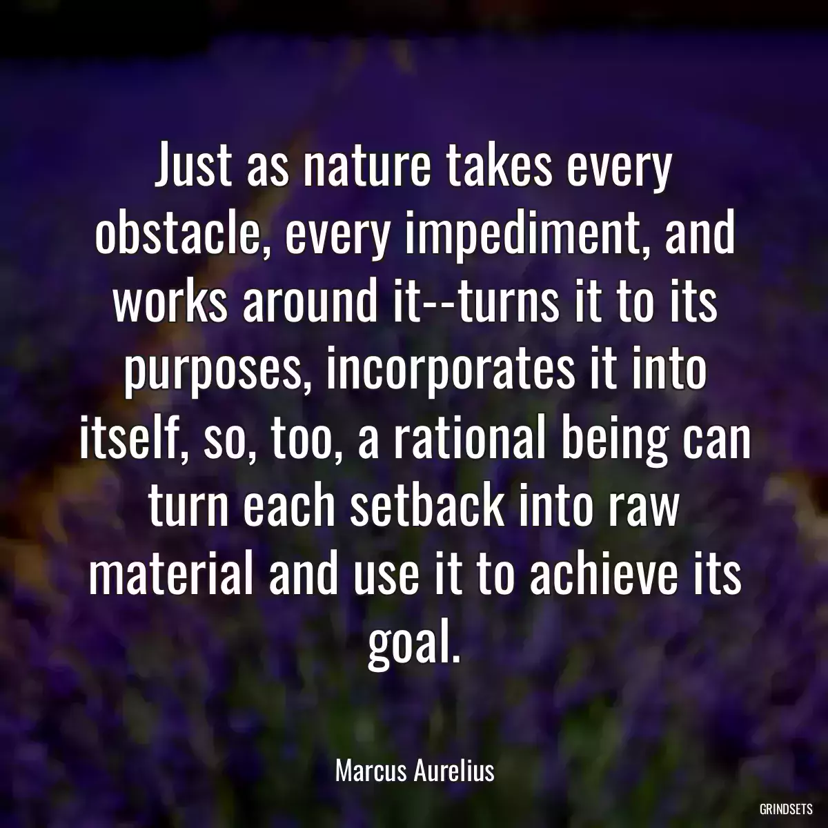 Just as nature takes every obstacle, every impediment, and works around it--turns it to its purposes, incorporates it into itself, so, too, a rational being can turn each setback into raw material and use it to achieve its goal.