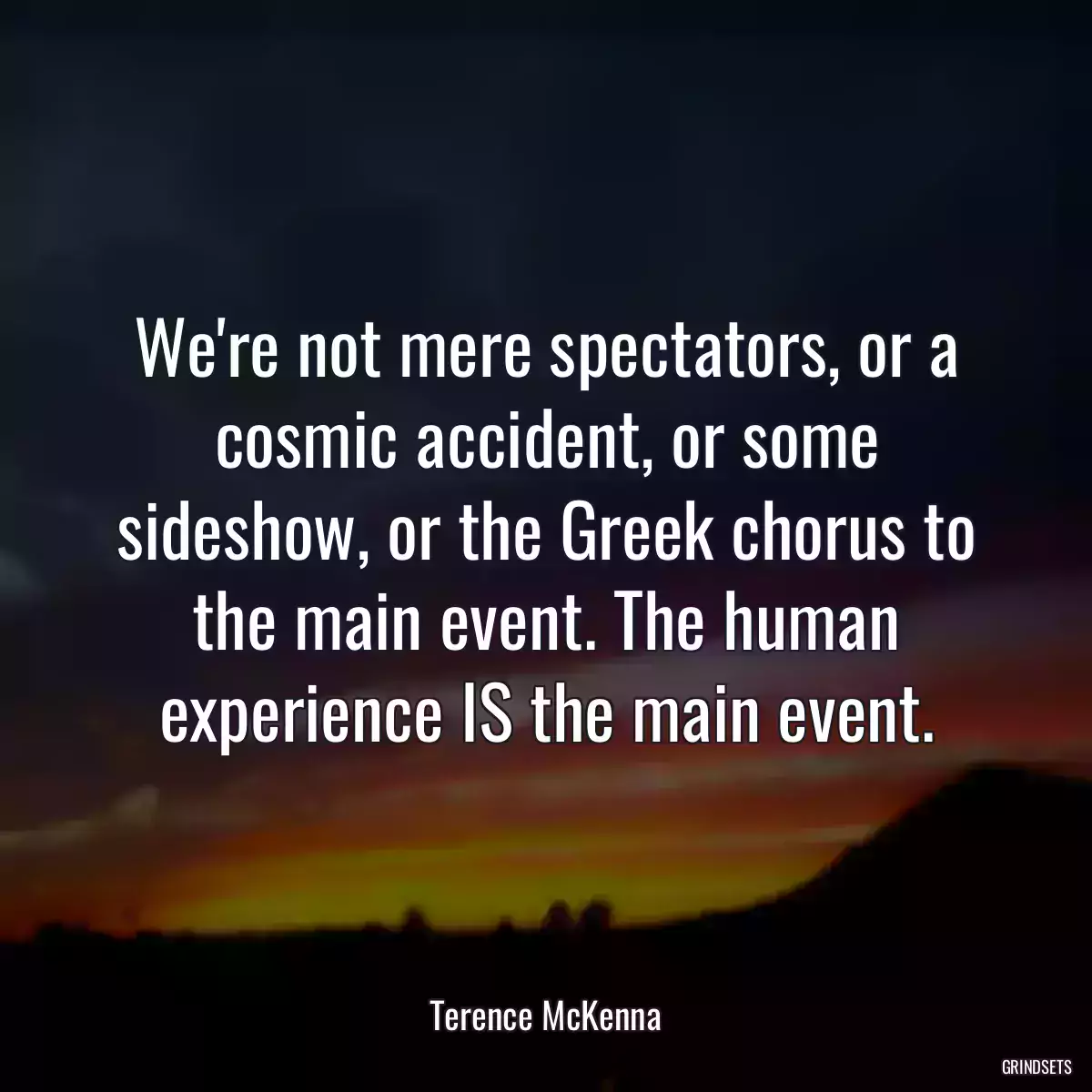 We\'re not mere spectators, or a cosmic accident, or some sideshow, or the Greek chorus to the main event. The human experience IS the main event.