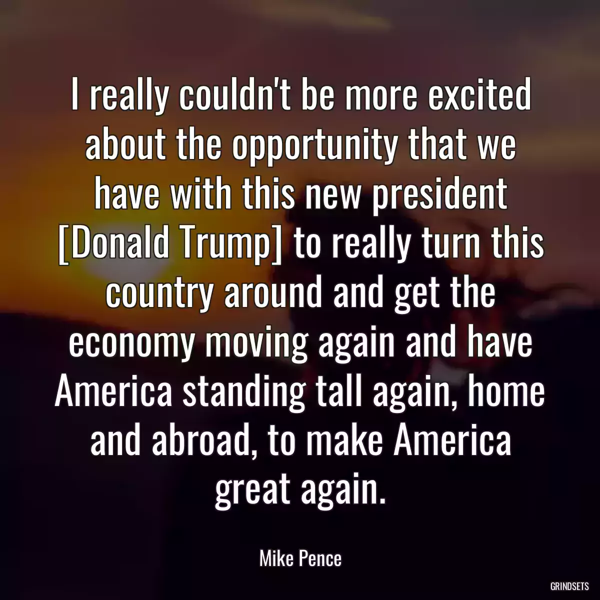 I really couldn\'t be more excited about the opportunity that we have with this new president [Donald Trump] to really turn this country around and get the economy moving again and have America standing tall again, home and abroad, to make America great again.