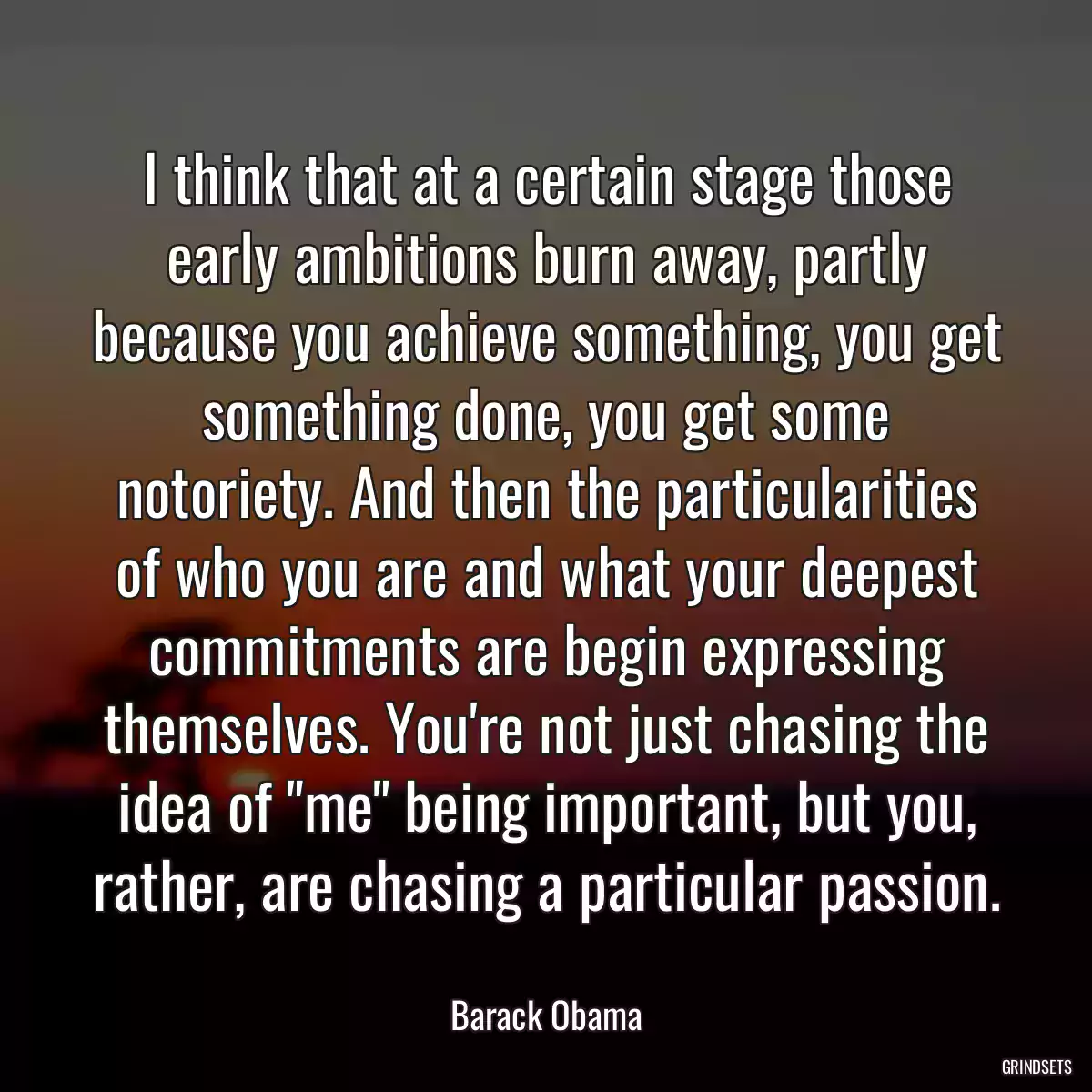 I think that at a certain stage those early ambitions burn away, partly because you achieve something, you get something done, you get some notoriety. And then the particularities of who you are and what your deepest commitments are begin expressing themselves. You\'re not just chasing the idea of \