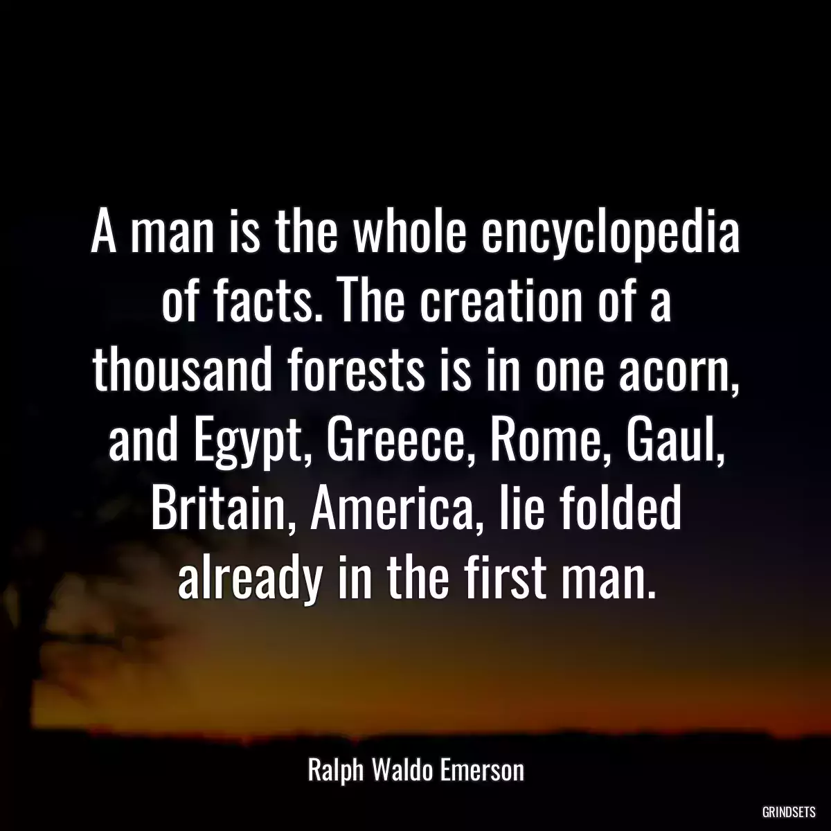 A man is the whole encyclopedia of facts. The creation of a thousand forests is in one acorn, and Egypt, Greece, Rome, Gaul, Britain, America, lie folded already in the first man.