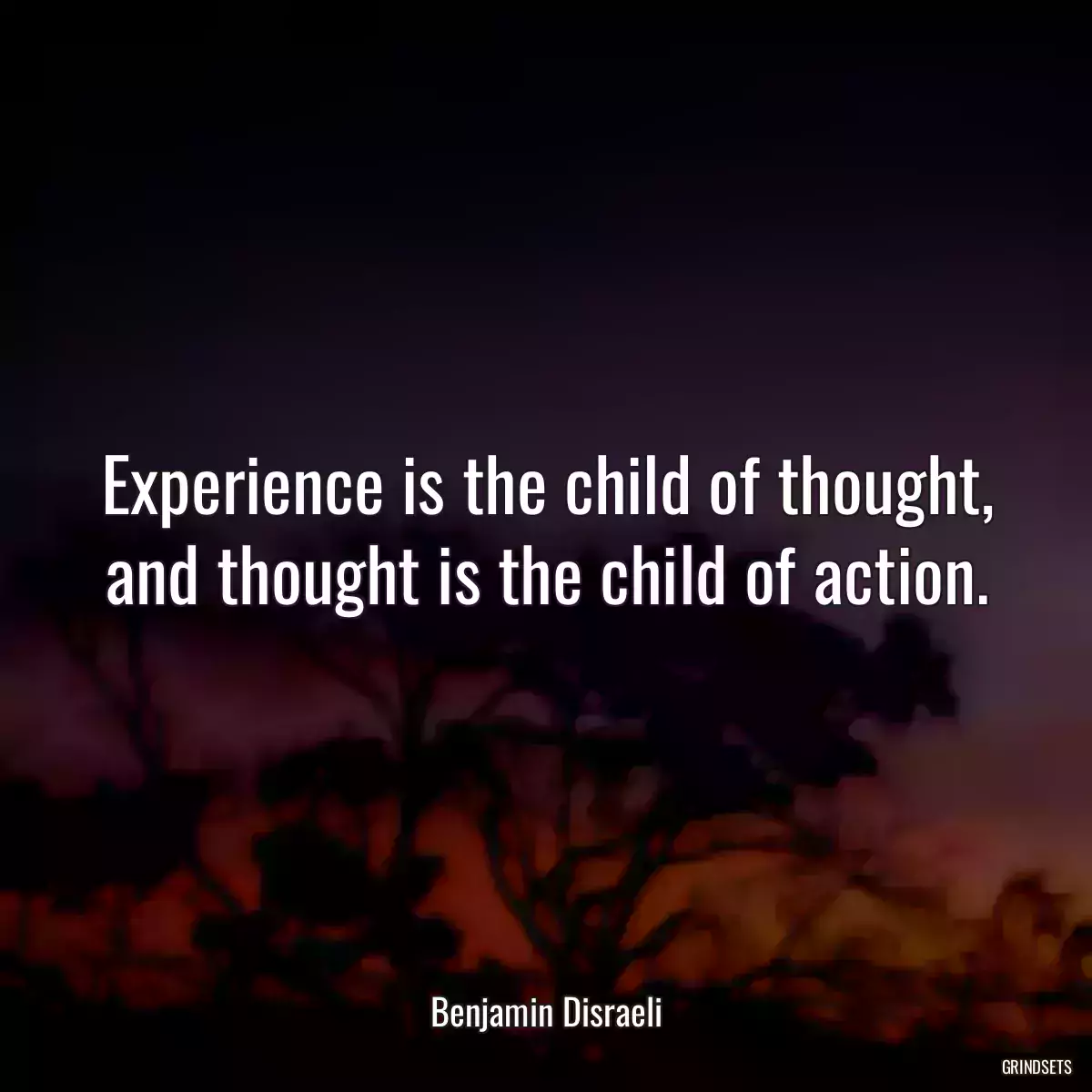 Experience is the child of thought, and thought is the child of action.