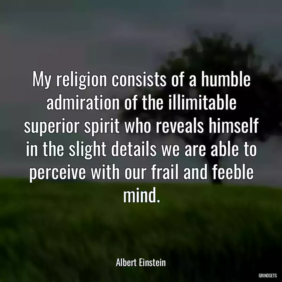 My religion consists of a humble admiration of the illimitable superior spirit who reveals himself in the slight details we are able to perceive with our frail and feeble mind.