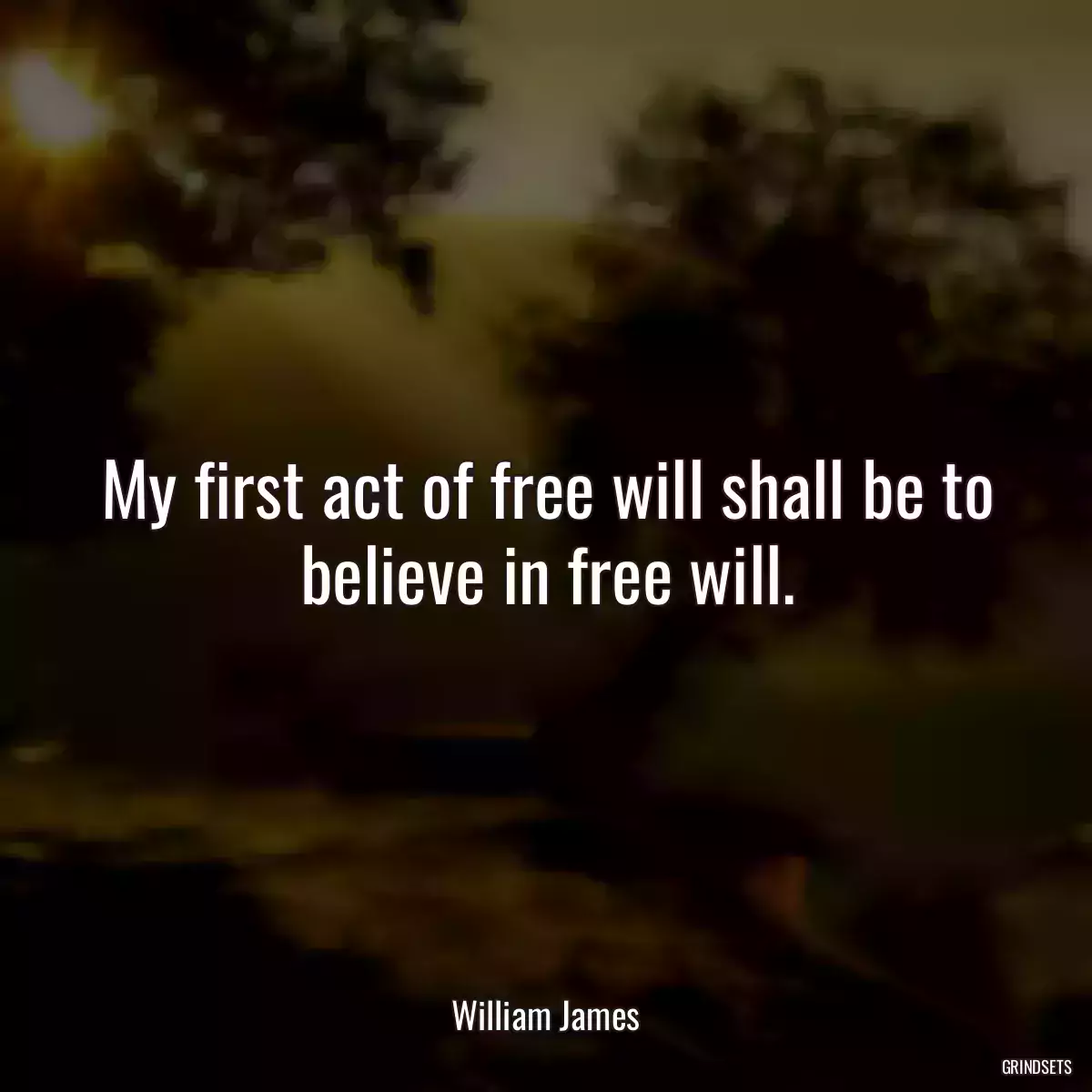 My first act of free will shall be to believe in free will.