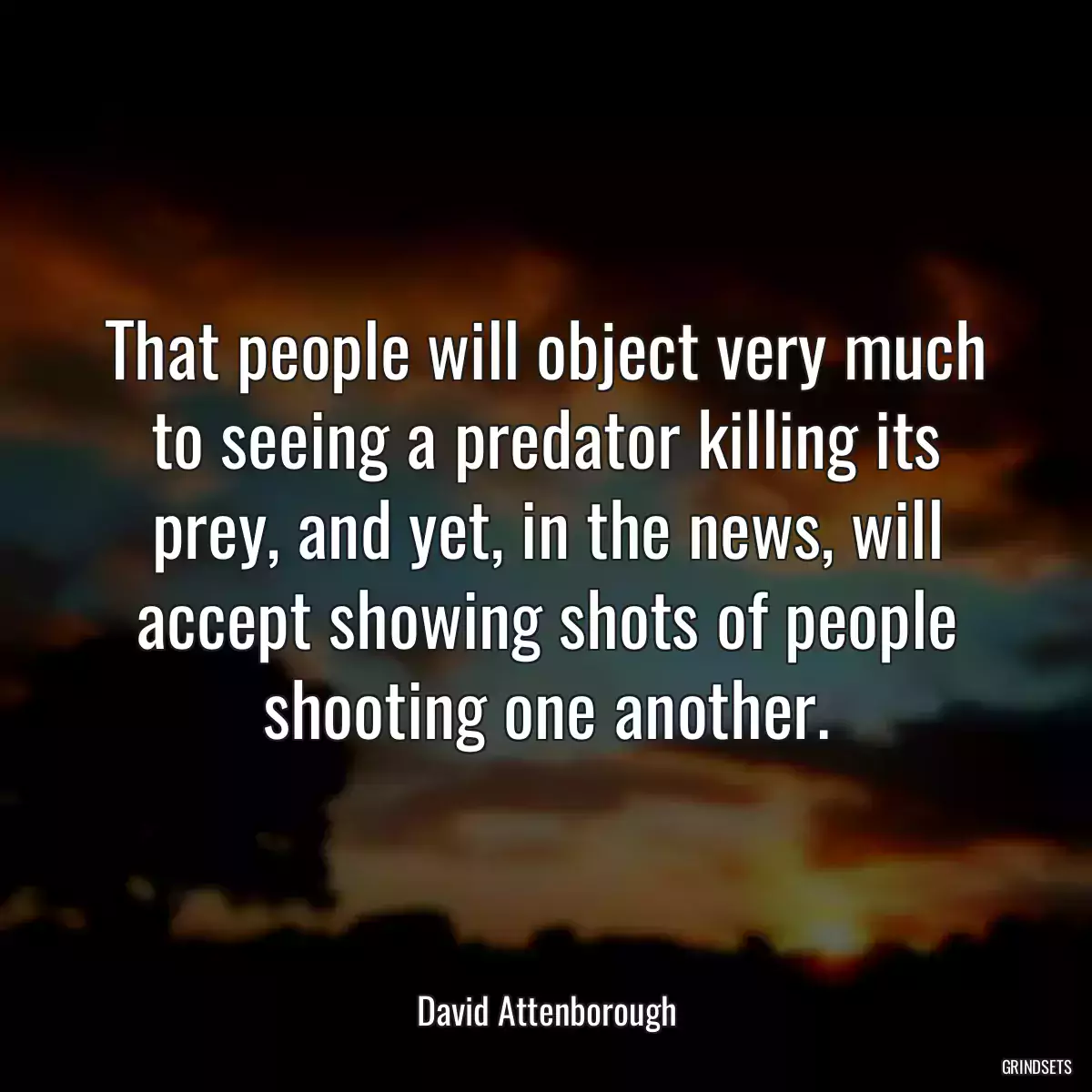 That people will object very much to seeing a predator killing its prey, and yet, in the news, will accept showing shots of people shooting one another.