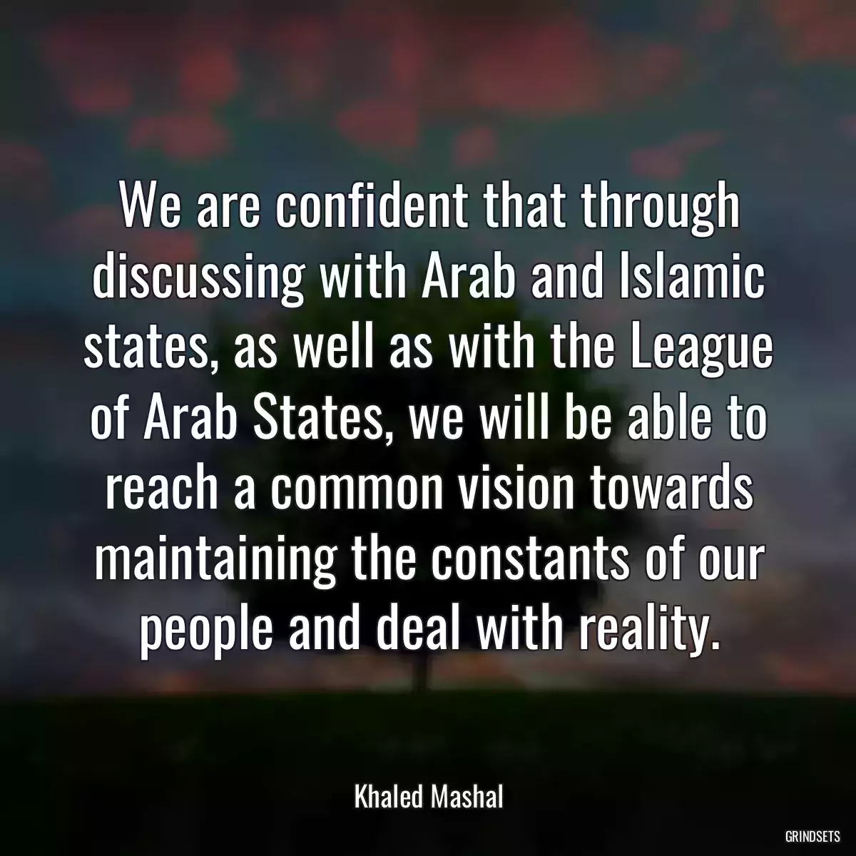 We are confident that through discussing with Arab and Islamic states, as well as with the League of Arab States, we will be able to reach a common vision towards maintaining the constants of our people and deal with reality.