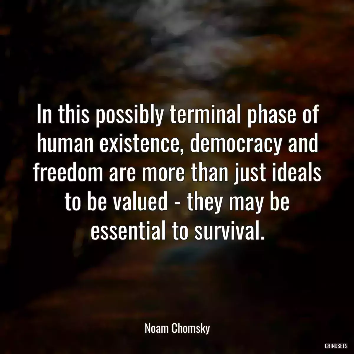 In this possibly terminal phase of human existence, democracy and freedom are more than just ideals to be valued - they may be essential to survival.