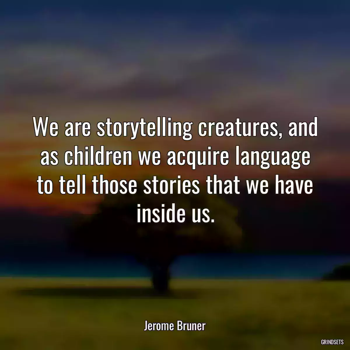 We are storytelling creatures, and as children we acquire language to tell those stories that we have inside us.