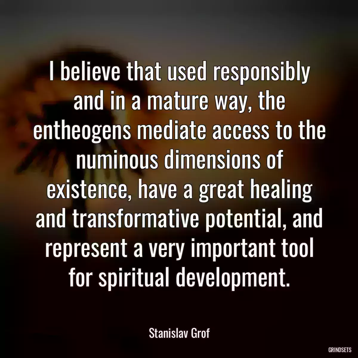 I believe that used responsibly and in a mature way, the entheogens mediate access to the numinous dimensions of existence, have a great healing and transformative potential, and represent a very important tool for spiritual development.