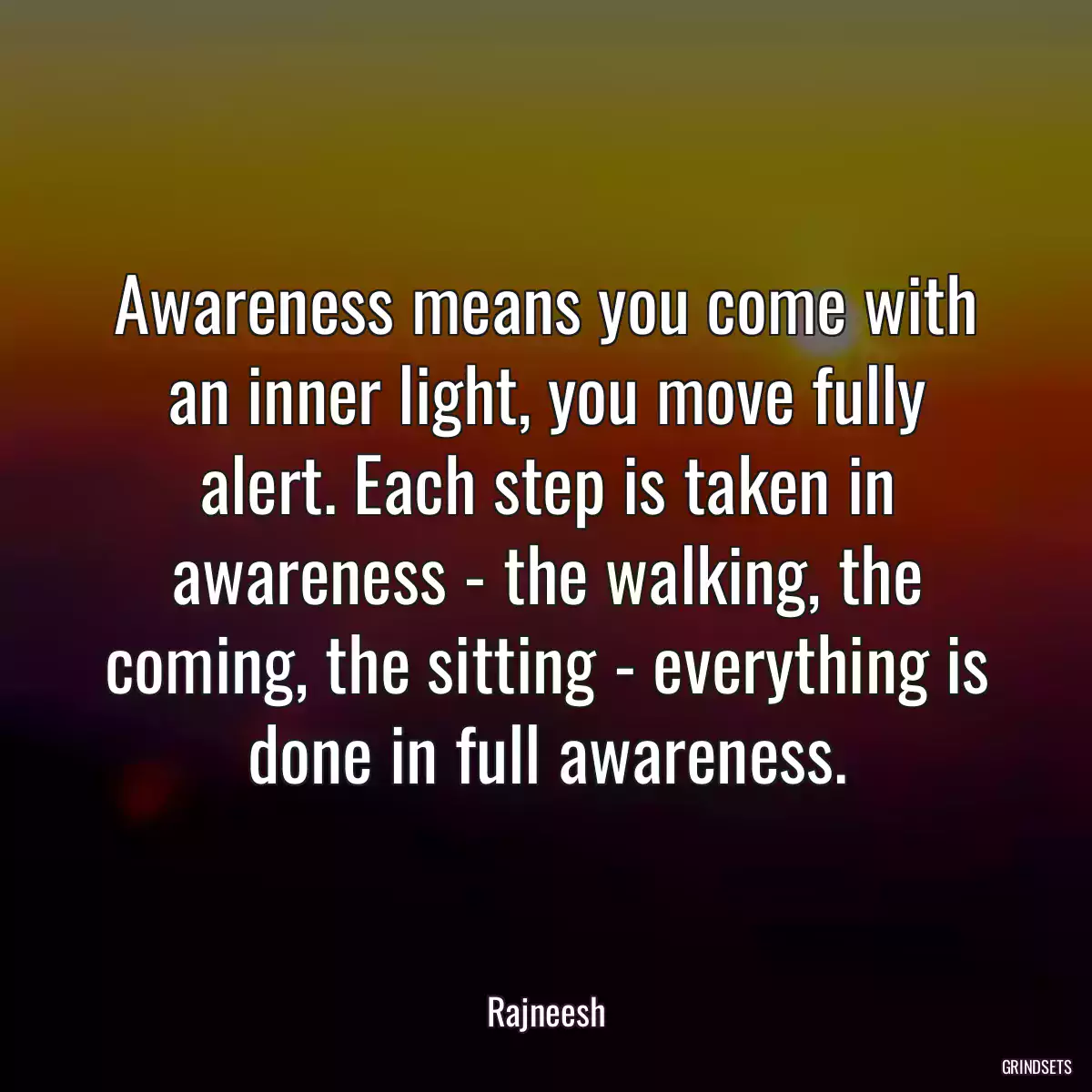 Awareness means you come with an inner light, you move fully alert. Each step is taken in awareness - the walking, the coming, the sitting - everything is done in full awareness.