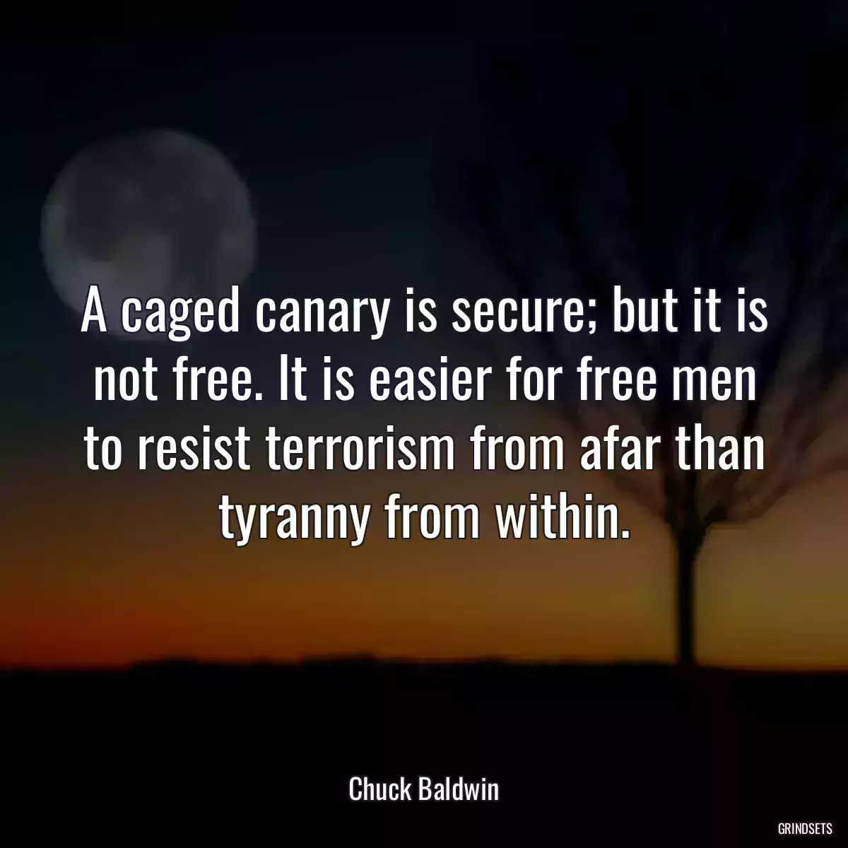 A caged canary is secure; but it is not free. It is easier for free men to resist terrorism from afar than tyranny from within.