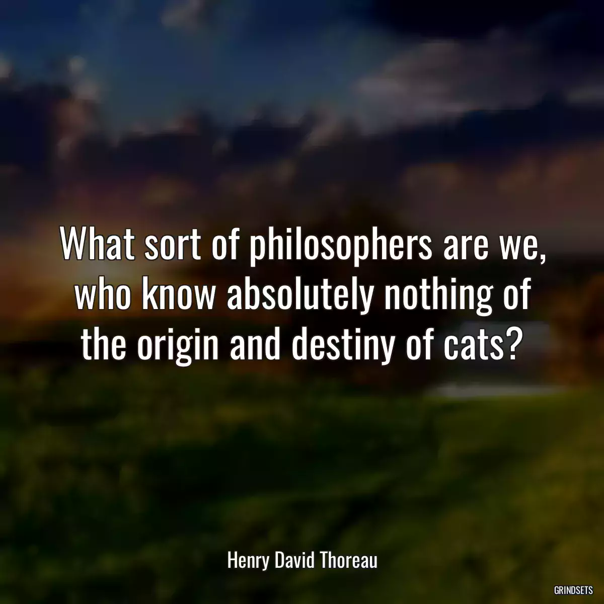 What sort of philosophers are we, who know absolutely nothing of the origin and destiny of cats?