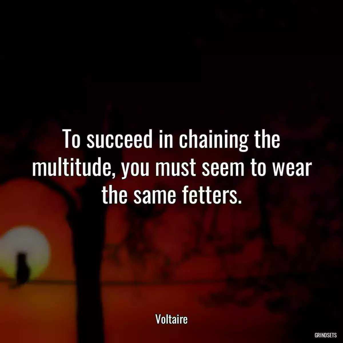 To succeed in chaining the multitude, you must seem to wear the same fetters.