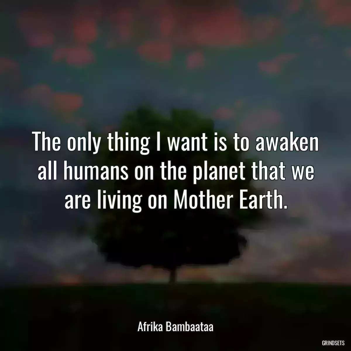 The only thing I want is to awaken all humans on the planet that we are living on Mother Earth.