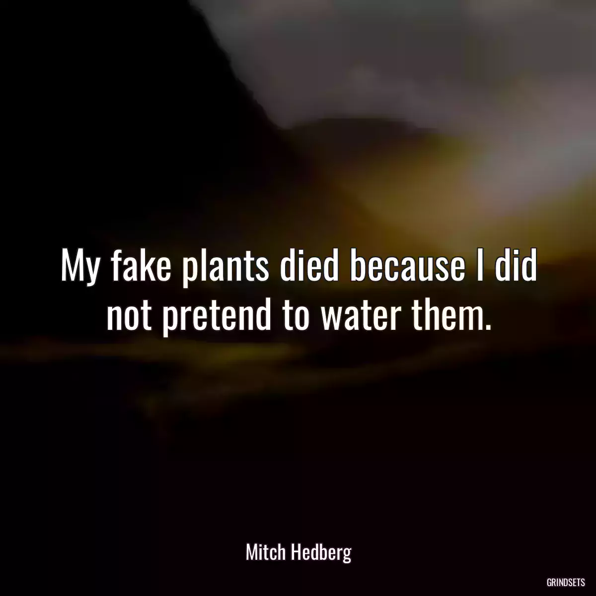 My fake plants died because I did not pretend to water them.