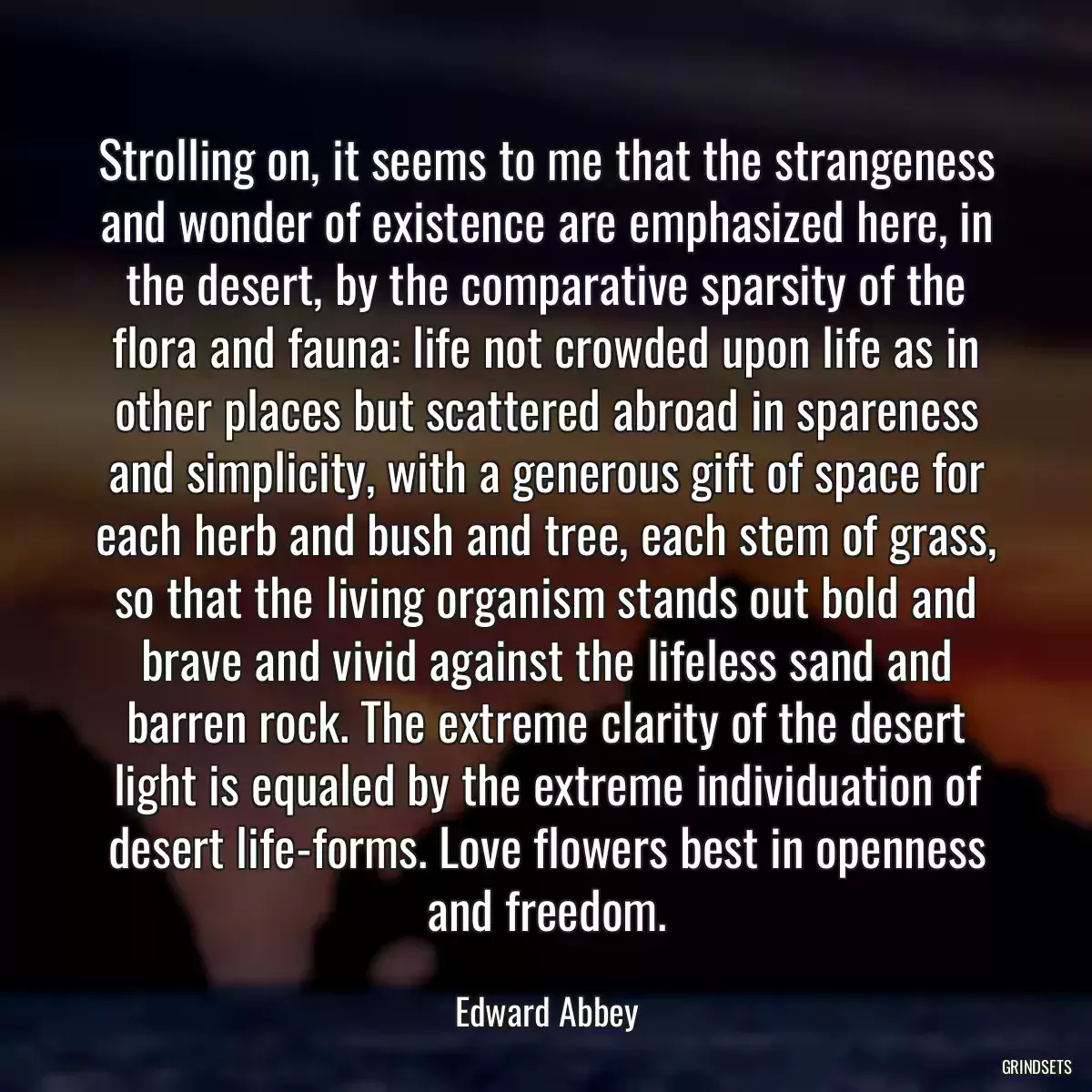 Strolling on, it seems to me that the strangeness and wonder of existence are emphasized here, in the desert, by the comparative sparsity of the flora and fauna: life not crowded upon life as in other places but scattered abroad in spareness and simplicity, with a generous gift of space for each herb and bush and tree, each stem of grass, so that the living organism stands out bold and brave and vivid against the lifeless sand and barren rock. The extreme clarity of the desert light is equaled by the extreme individuation of desert life-forms. Love flowers best in openness and freedom.