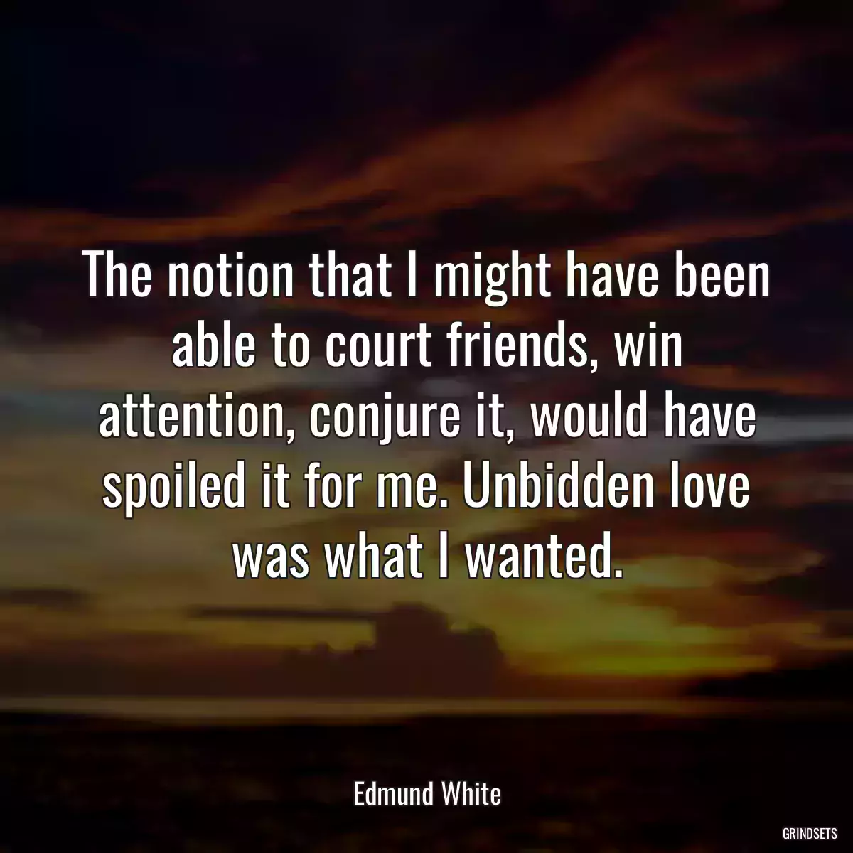 The notion that I might have been able to court friends, win attention, conjure it, would have spoiled it for me. Unbidden love was what I wanted.