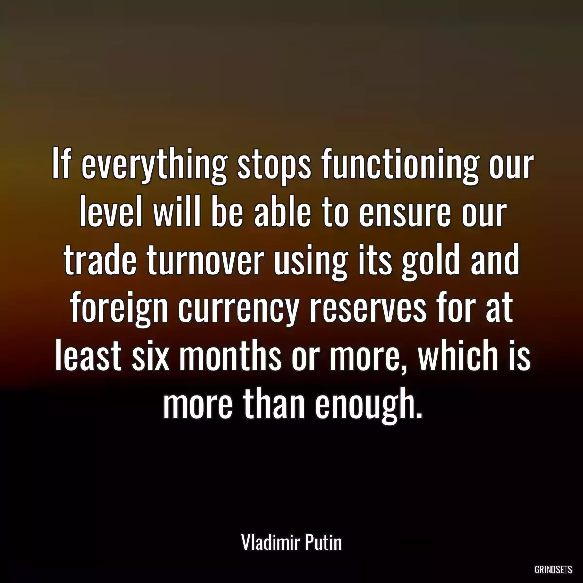 If everything stops functioning our level will be able to ensure our trade turnover using its gold and foreign currency reserves for at least six months or more, which is more than enough.