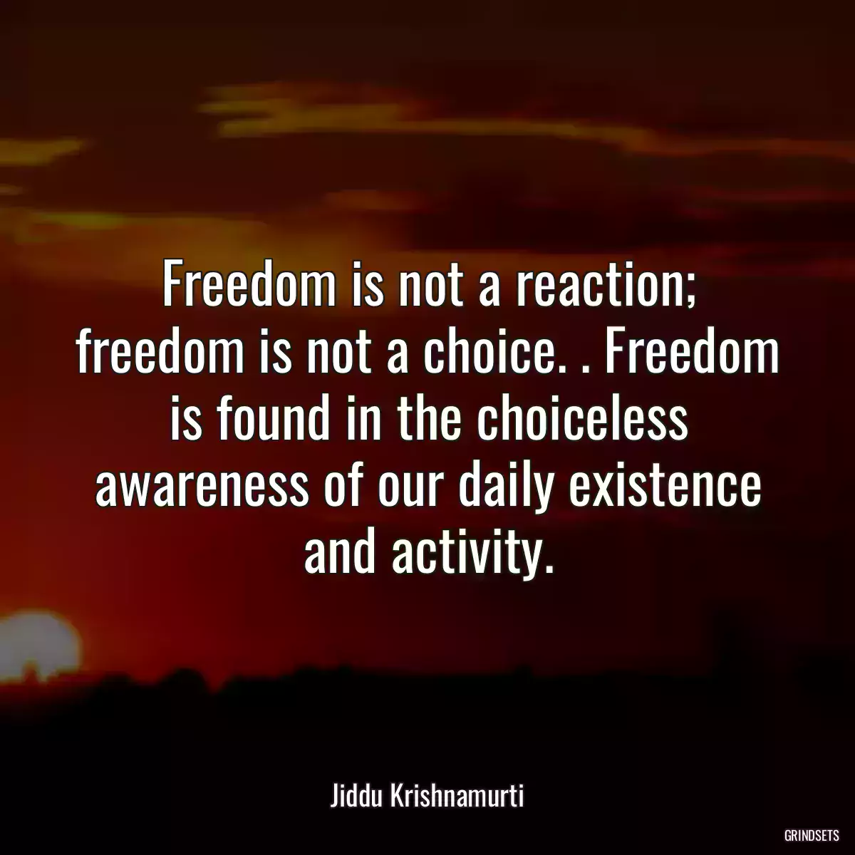 Freedom is not a reaction; freedom is not a choice. . Freedom is found in the choiceless awareness of our daily existence and activity.