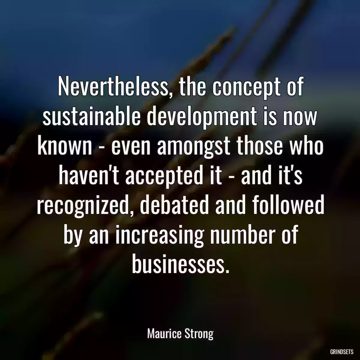 Nevertheless, the concept of sustainable development is now known - even amongst those who haven\'t accepted it - and it\'s recognized, debated and followed by an increasing number of businesses.