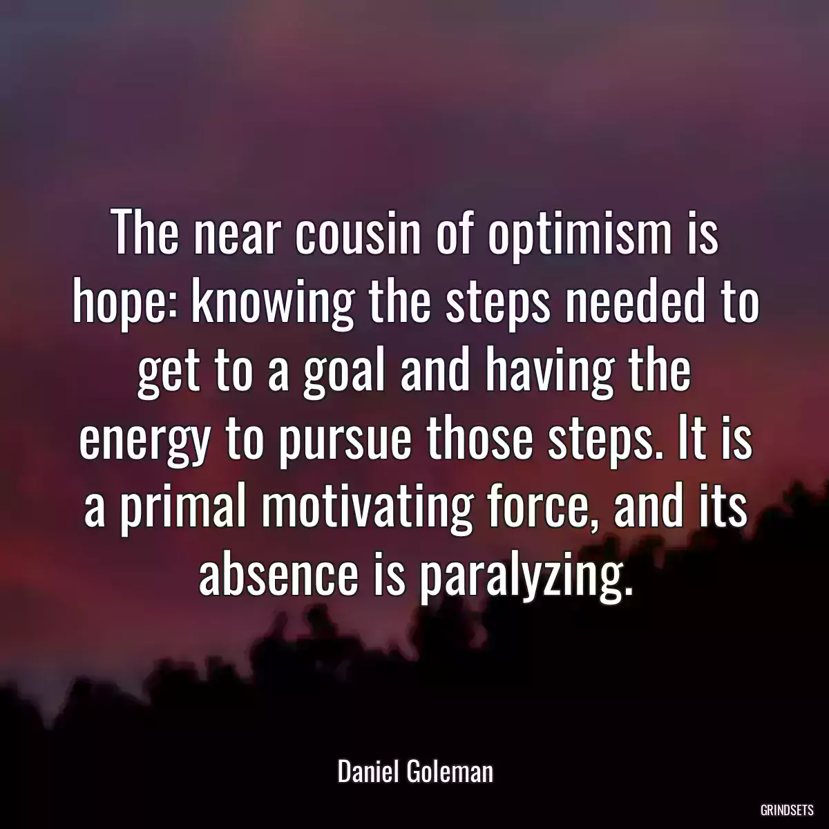 The near cousin of optimism is hope: knowing the steps needed to get to a goal and having the energy to pursue those steps. It is a primal motivating force, and its absence is paralyzing.