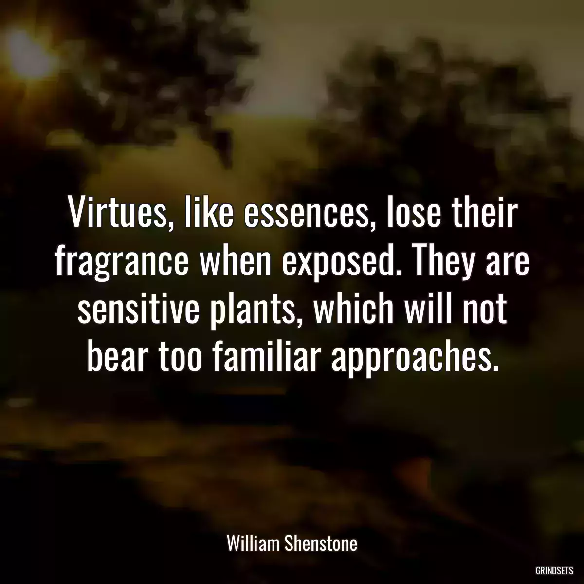 Virtues, like essences, lose their fragrance when exposed. They are sensitive plants, which will not bear too familiar approaches.