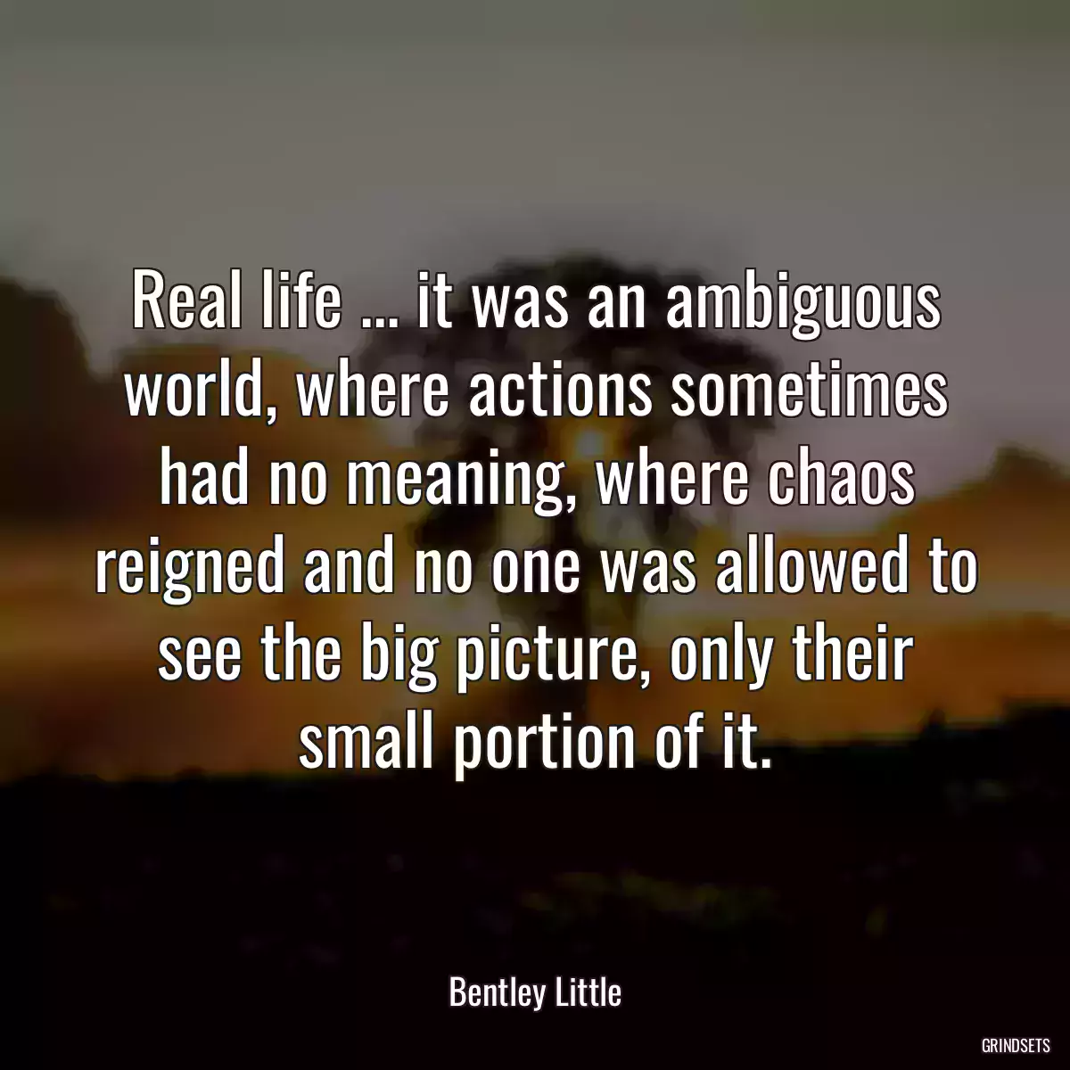 Real life ... it was an ambiguous world, where actions sometimes had no meaning, where chaos reigned and no one was allowed to see the big picture, only their small portion of it.