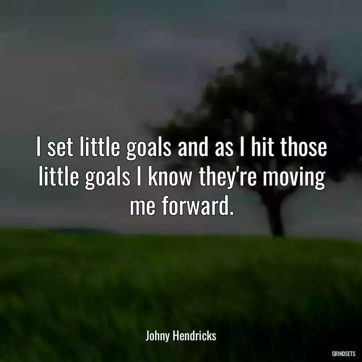 I set little goals and as I hit those little goals I know they\'re moving me forward.