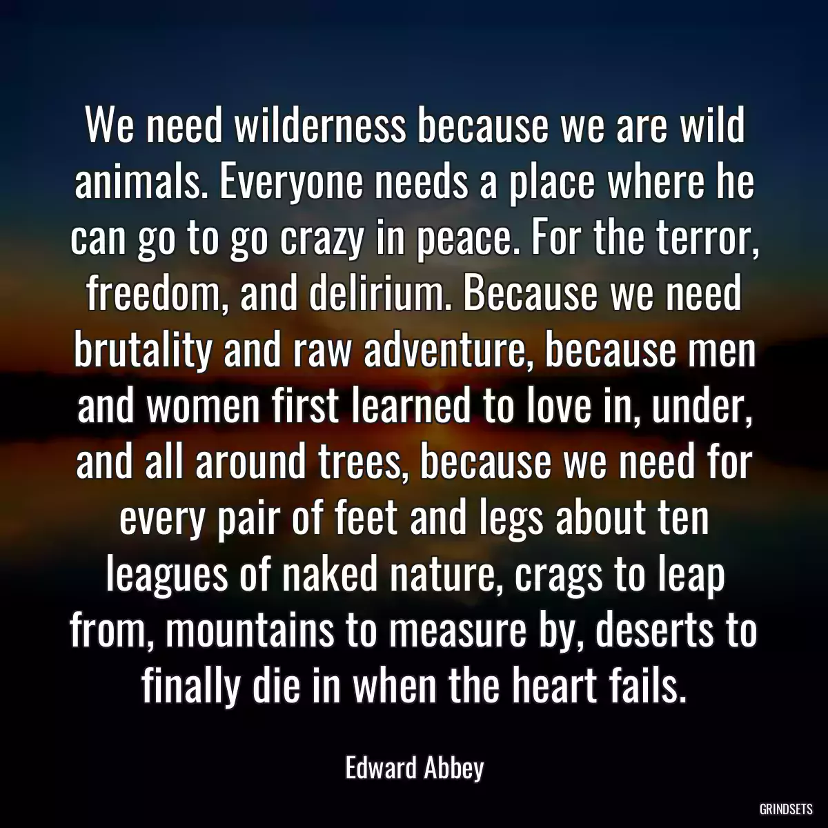 We need wilderness because we are wild animals. Everyone needs a place where he can go to go crazy in peace. For the terror, freedom, and delirium. Because we need brutality and raw adventure, because men and women first learned to love in, under, and all around trees, because we need for every pair of feet and legs about ten leagues of naked nature, crags to leap from, mountains to measure by, deserts to finally die in when the heart fails.