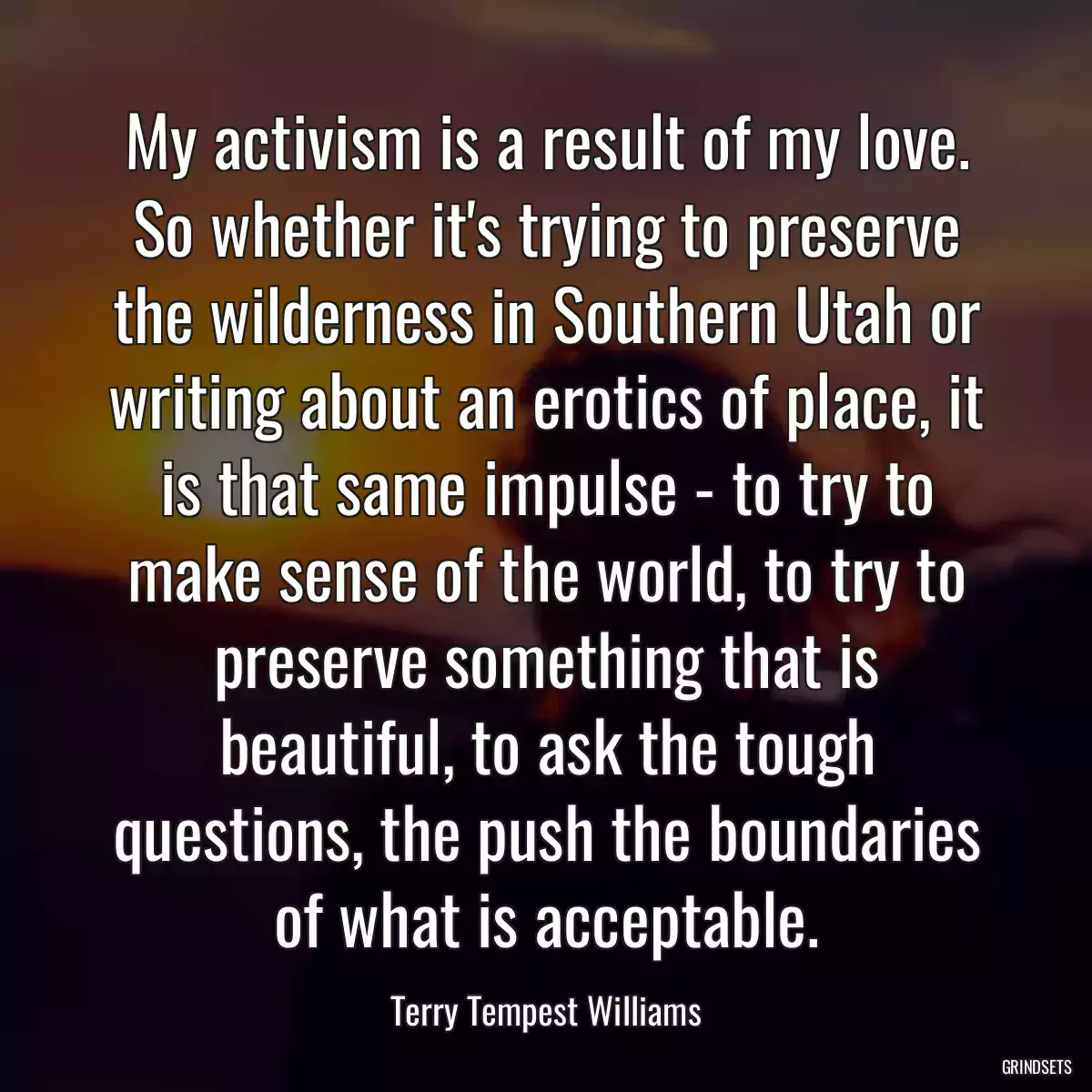 My activism is a result of my love. So whether it\'s trying to preserve the wilderness in Southern Utah or writing about an erotics of place, it is that same impulse - to try to make sense of the world, to try to preserve something that is beautiful, to ask the tough questions, the push the boundaries of what is acceptable.