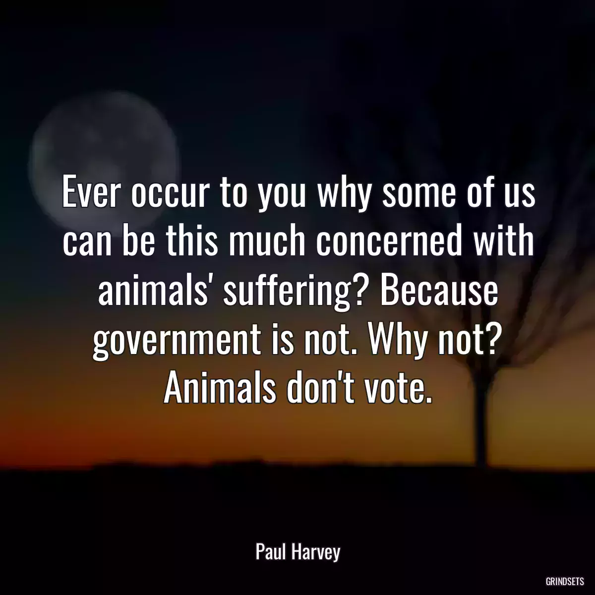 Ever occur to you why some of us can be this much concerned with animals\' suffering? Because government is not. Why not? Animals don\'t vote.